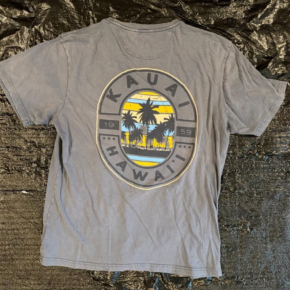 Unbranded Men's Grey and Blue T-shirt